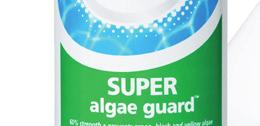 However, if you already have stubborn algae, using an HTH algaecide
