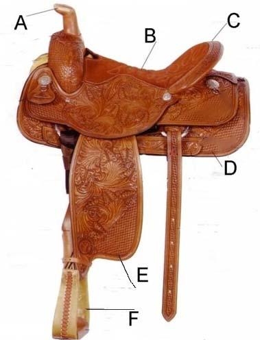Parts of a Western Saddle, write the