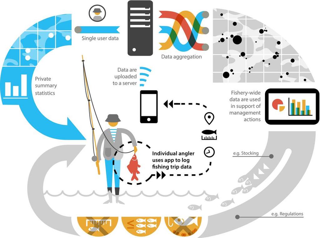 The concept behind angler apps (electronic log books) Venturelli, Hyder & Skov Fish and Fisheries Angler apps as a source of recreational fisheries data: