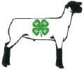May 15th Animal Deadline Reminder all Livestock 4-H & FFA must be Identified by May 15th.
