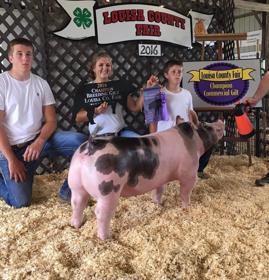 Swine Tagging If you will be taking pigs to the Iowa State Fair 4-H show you must contact the Extension Office to arrange for tagging.
