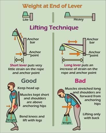 Safe Lift Technique While lifting keep your back straight and
