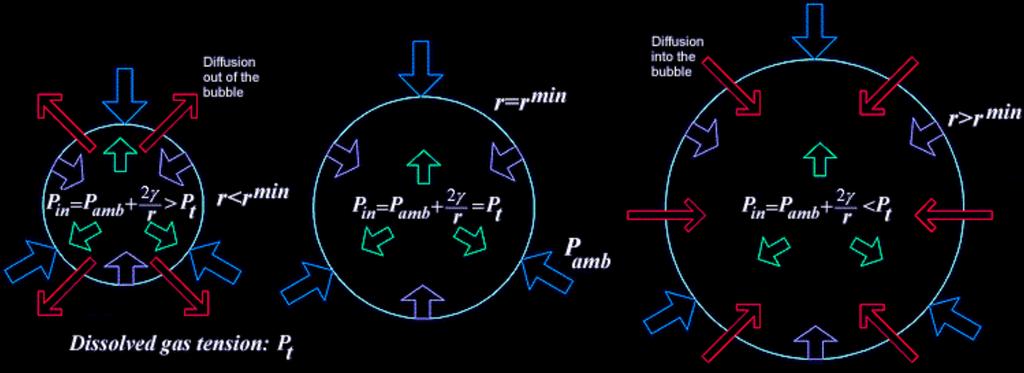 Bubble Formation and Growth In equilibrium, external pressure balanced by internal gas