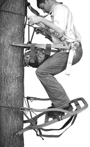 Position your safety harness to minimize the amount of slack in the safety line and tether strap then carefully sit down.
