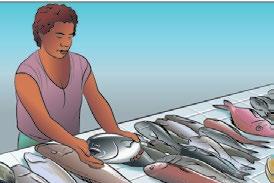 Seafood handling Handling seafood in the Pacific Islands Fish is an essential part of the diet in the Pacific Islands.