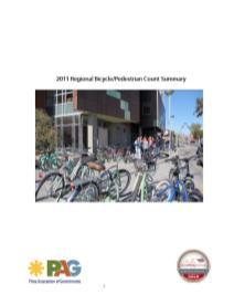 Bicycle and Pedestrian Report
