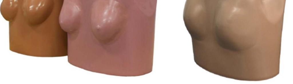 Differences in the physical characteristics between the two versions of the dummy were evident despite the dummy design and calibration requirements being formally documented in regulation (49 CFR