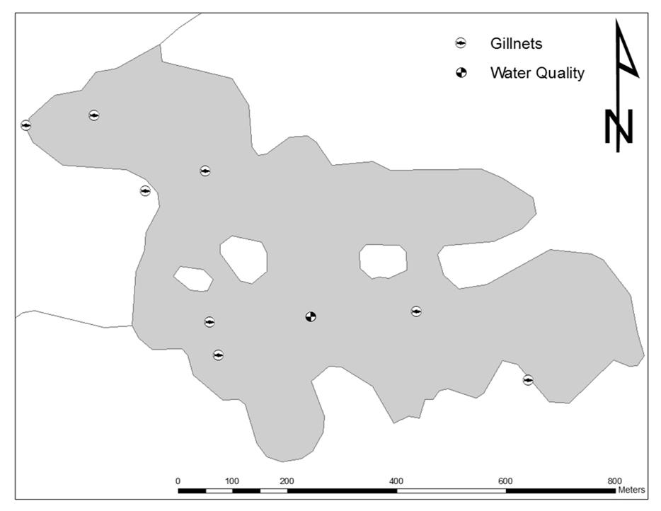 Figure 1 Bathymetric map of St. Charles Lake (Kirk and Drouin, 1990).