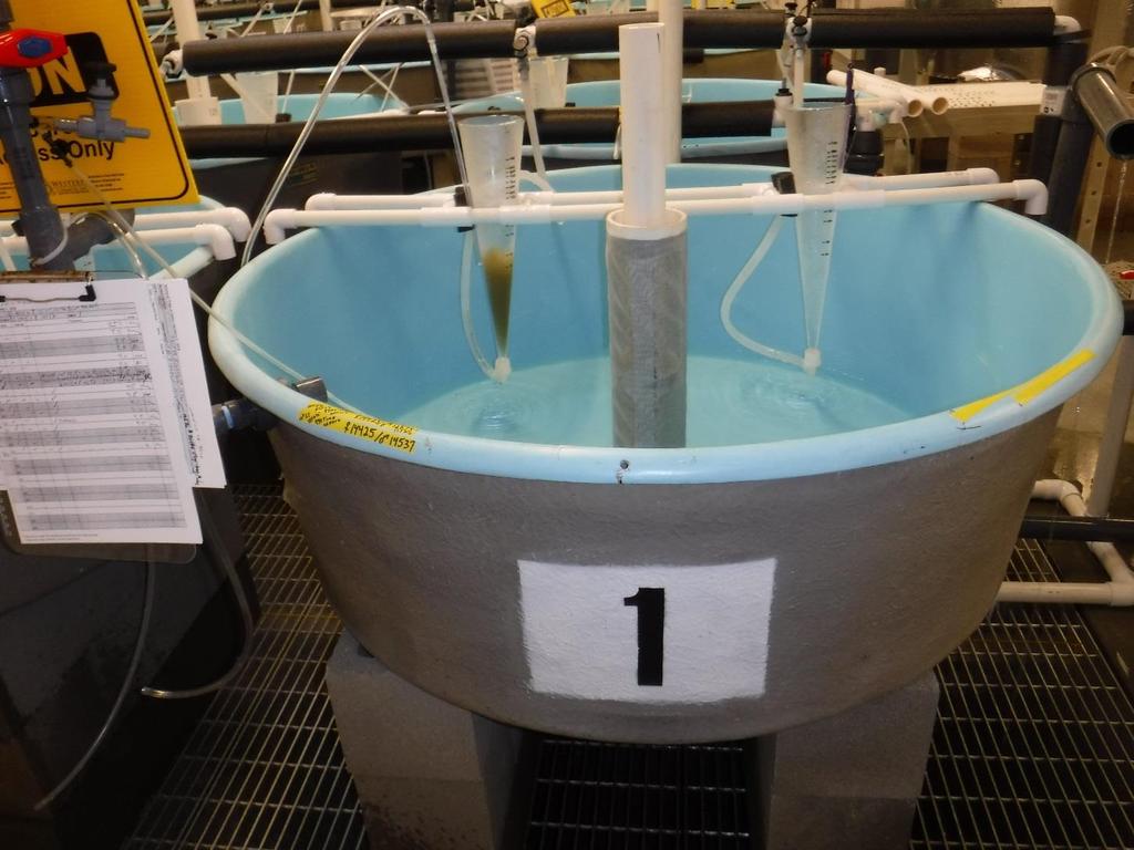 Egg Incubation at KTOI-H2 1. 150 incubator capacity Imhoff Cones 2.