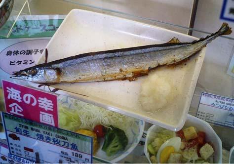 Background and Objectives Pacific saury (Cololabis saira) Important fisheries resources TAC (Total