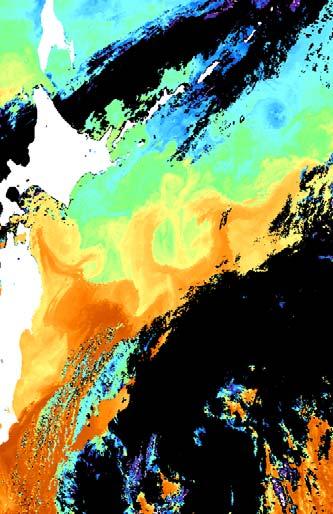 temperature (SST) Orbview2/SeaWiFS