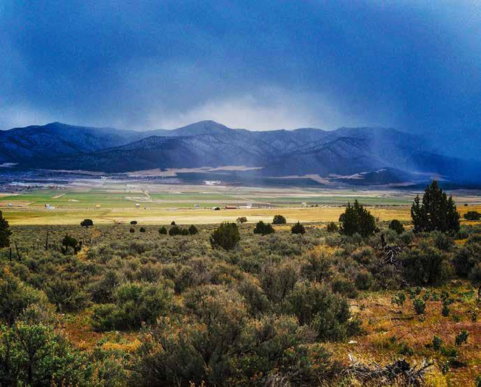Welcome to Starlite Ranch Highlights: High mountain canyons and low mountain pasture Abundant wildlife Private hunting