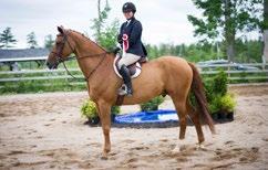 tournament at Caledon Equestrian Park in Palgrave, ON.