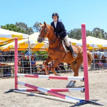 Fair Best of Show Any exhibitor placing first in a qualifying class will be eligible to compete in the 2015 County Fair Best of Show Horse Show at the California State Fair.