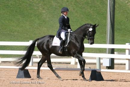 The purpose of the dressage test is to demonstrate the level of communication between the horse and rider and to display the power and grace required to perform each movement with balance, rhythm,