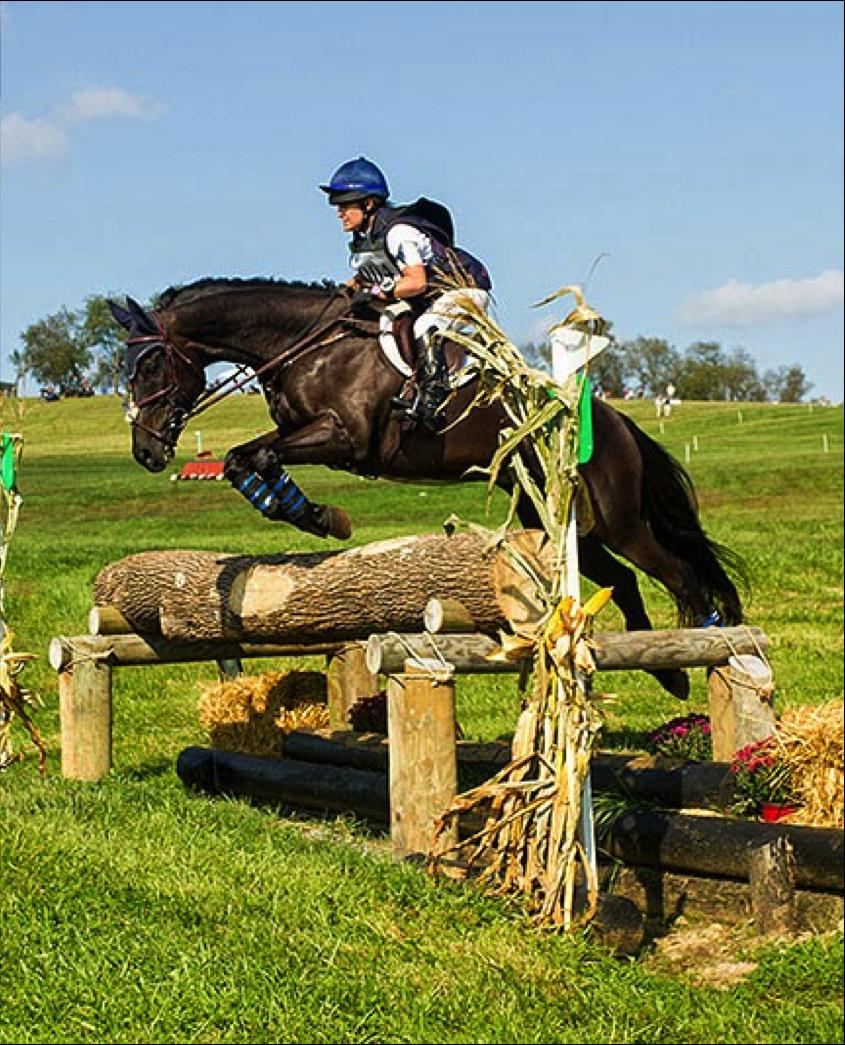 Originally from California, Molly began riding at age 8 where she met a trainer who introduced her to the sport of Eventing.