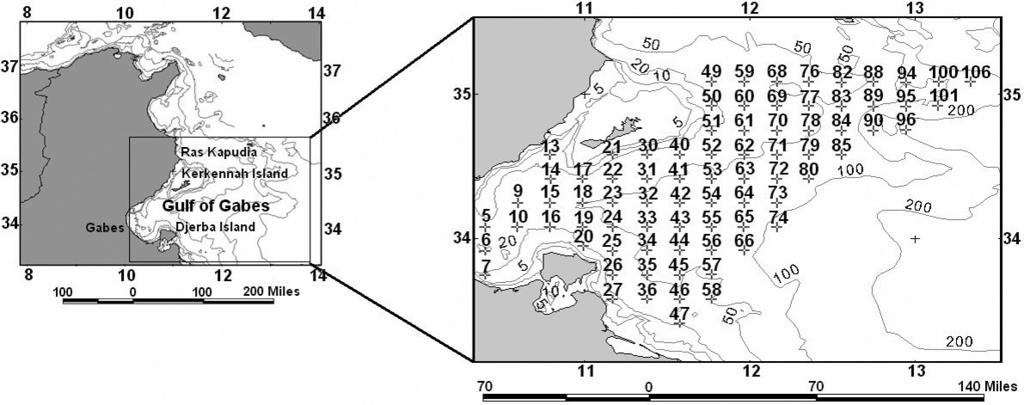 Fig. 1: Map of the study area focusing on the larval sampling stations in the Gulf of Gabes. (Lebart et al. 1982) was used on the basis of Euclidian distance.