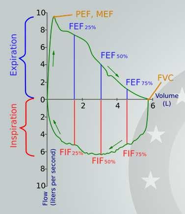 function tests FEV1, FVC, FEV1/FVC (Tiffeneau) Flow-Volume Loop* Provocationtesting(exerciseprovocation) at slightest doubt!