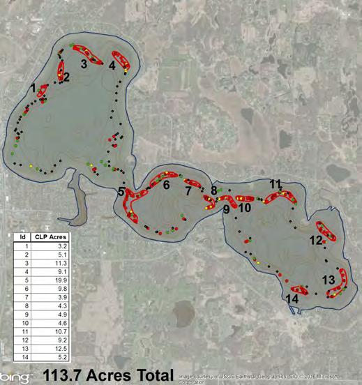Curlyleaf Pondweed and Eurasian Watermilfoil Delineation, Treatment, and Assessment for Forest Lake, Washington County, 2016 Summary Curlyleaf Pondweed (CLP) Delineation, Treatment, and Assessment: