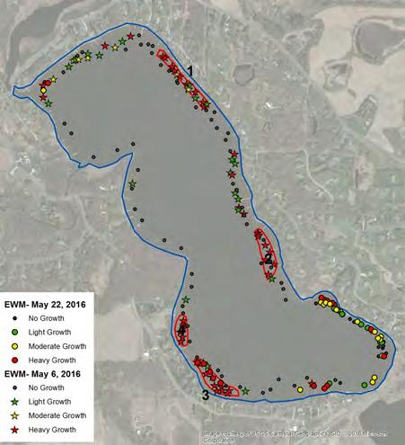 Eurasian Watermilfoil (EWM) Delineation, Treatment, and Assessment Surveys: An Eurasian watermilfoil delineation for distribution and abundance was conducted on May 6, 2016 and EWM was found at 72