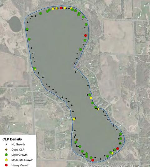 Curlyleaf Pondweed and Eurasian Watermilfoil Delineation, Treatment, and Assessment for Bone Lake, Washington County, Minnesota in 2016 Summary Curlyleaf Pondweed (CLP) Delineation, Treatment, and