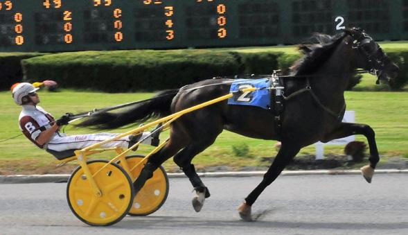 Meadowlands Racetrack 11/10/18 Garden State Trot #1 2-year-old filly trot Meadowlands Racetrack 11/10/18 BE SURE TO SUBMIT YOUR VOTE FOR SBOANJ BOARD OF DIRECTOR All members should have received