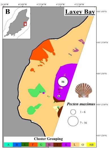 In 2009 Niarbyl Bay, which covers an area of approximately 6 km 2, was also closed to mobile fishing and subsequently reseeded with over 100,000 wild caught scallops (dominant cohort was 3 year olds)