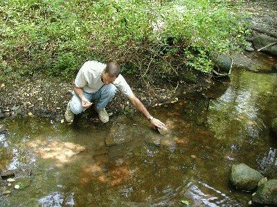 The type of biological community found in primary headwater streams can change abruptly from one PHWH stream class to another, such as when cold groundwater intercepts a dry stream channel (e.g., Class I to Class III).