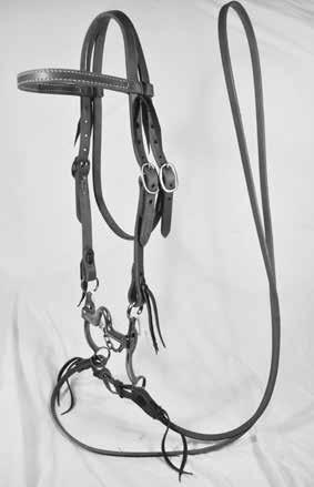 00 HS-Argentine Hinged Snaffle $185.