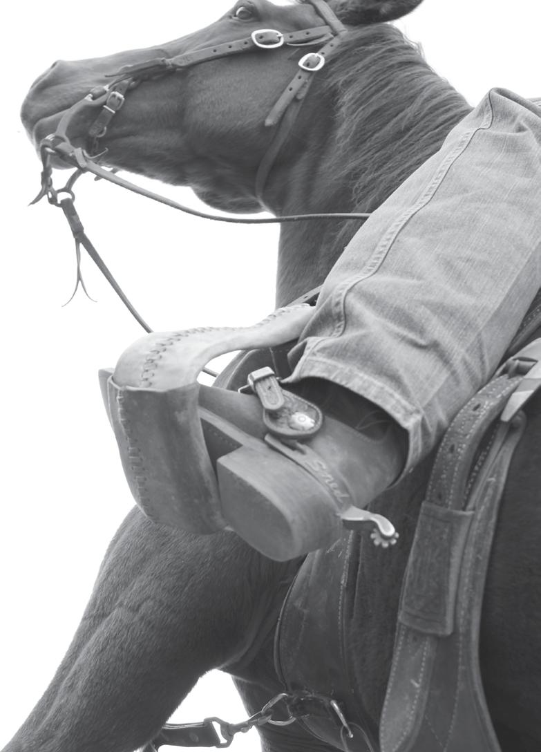 equipment that is second to none. No gimmicks or claims about the magic bridle. Just Fit - Feel - Function!