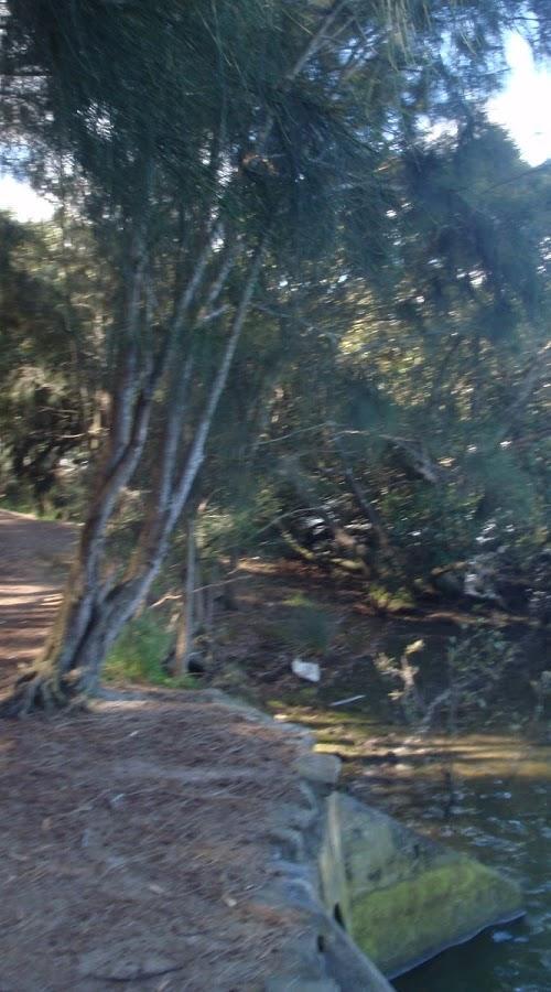 Morgans Creek to Padstow 2 hrs 45 mins 8 km One way Moderate track 3 144m This pleasant walk starts from the Morgans Creek park, at Henry Lawsons Drive, and follows the