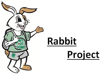 The rabbit project teaches proper methods of caring for, raising, breeding and marketing rabbits.