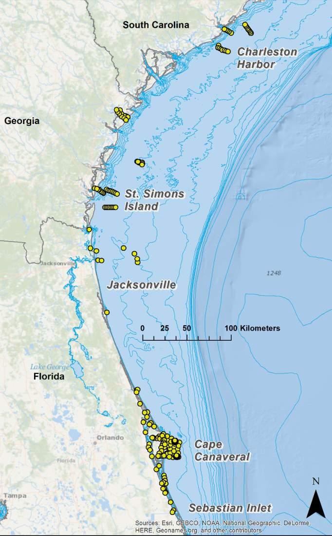 Florida Atlantic Coast Telemetry (FACT) and Atlantic Cooperative Telemetry (ACT) arrays: Tracking regional movements Bimini Biological Field Station Cape Eleuthera Institute (Bahamas) Continental