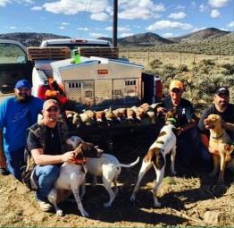 Upland Pheasant Field Hunts We get hunters from all over our beautiful planet to enjoy one impressive yet true fact: We do hunting right.