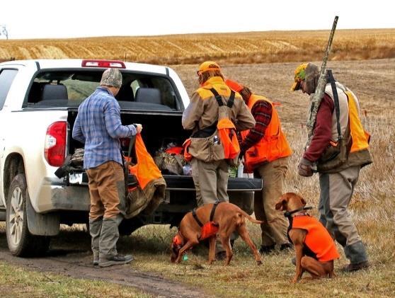 European Pheasant Hunting Our aforementioned program is amazing. Having been advised by top-tier hunters and after much study, we've created a system that is absolutely one in a million.