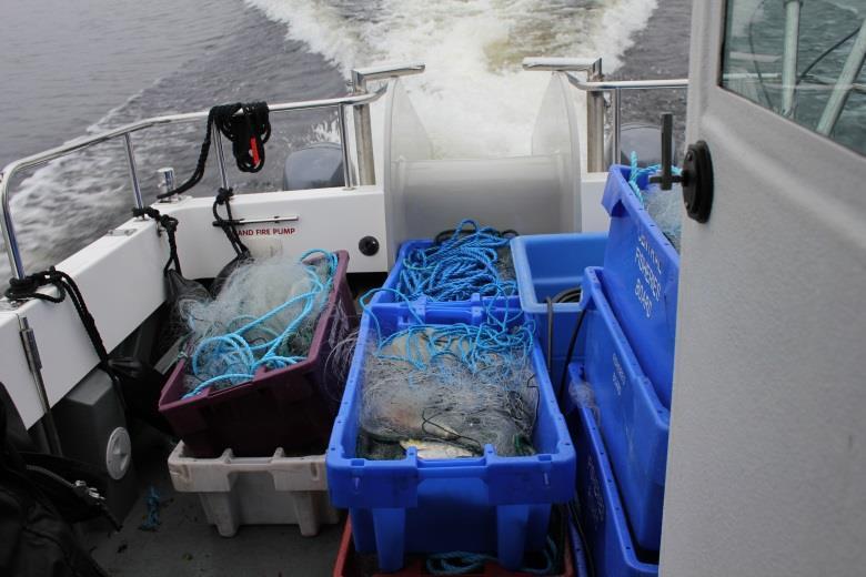 Carry out transects each side of the pelagic nets every two