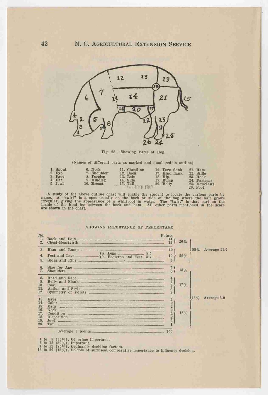 42 N. C. AGRICULTURAL EXTENSION SERVICE Fig. 23. Showing Parts of Hog (Names of different parts as marked and numbered" in outline) 2. 1. Eye Snout 6. 7. Neck Shoulder 11. Chestline 12. Back 16.