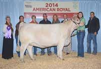 Guaranteed Successful Flush WC Kendall 5173 P ET- Daughter of #428 EPDs: 2.7 2.4 27 55 10 7.8 24 0.