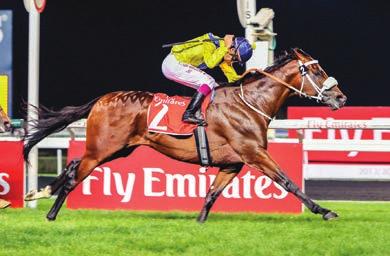 Two Year Old Sale in 2013. Horse Of Fortune (Stronghold), continues to improve for South African ex-pat trainer, Tony Millard, recording his career best effort when winning the local Gr.
