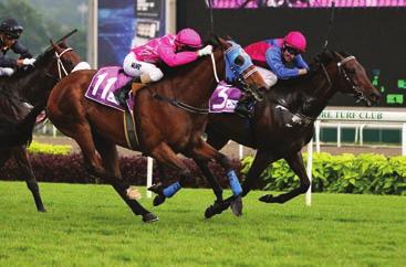 2012. From a very small sample of SAF bred horses in HK, Millard s Secret Command and Mint Master also earned consistently well for their owners during the year under review.
