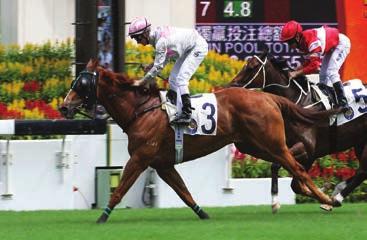 last named a half brother to Horse Of Fortune. But, it was the runner-up effort of Time Odyssey in the Gr.1 Singapore Gold Cup that took his earnings to a very healthy S$625 567.