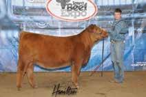 She went on to have MEADO-WEST HEARTLESS 416 WDZ BETTY 416 a successful show career for him, including being named Champion Red Angus at the Iowa Beef MEADO-WEST PRECIOUS 010X OLC UNITY K404 Expo.