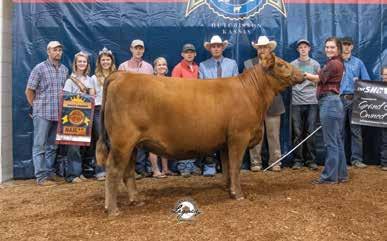 43 The Genetic Lots Maternal Sib to Lot 43 Embryos Full Sib to Lot 43 Embryos Card Shark x Jewel 3 EMBRYOS SIRE REG: 1371275 DAM REG: 1521853 OFFERED BY ZEHNDER CATTLE Sire WEBR DOC HOLLIDAY 2N Dam
