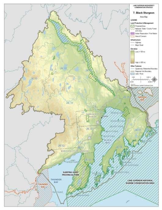 Tributaries & Watershed A Black Sturgeon River provides habitat for resident and migratory fishes and is one of only nine Lake Superior tributaries currently used for spawning by Lake Sturgeon.