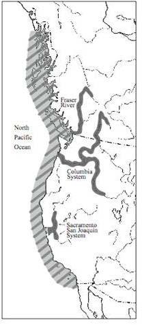 Population Spatial Structure and Variability White Sturgeon breed in three river systems: the Sacramento-San Joaquin, Columbia, and Fraser river basins (Figures 2, 3).