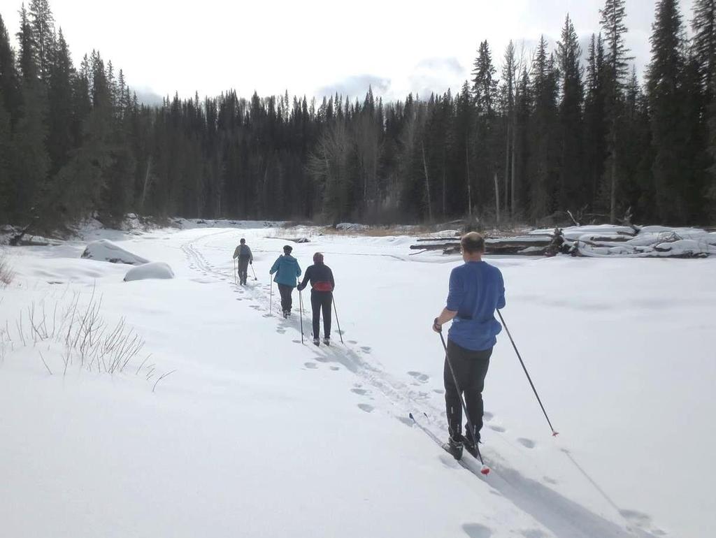 Cross Country Skiing in the Tumbler Ridge Area There are numerous locations that are great for cross country skiing in the area