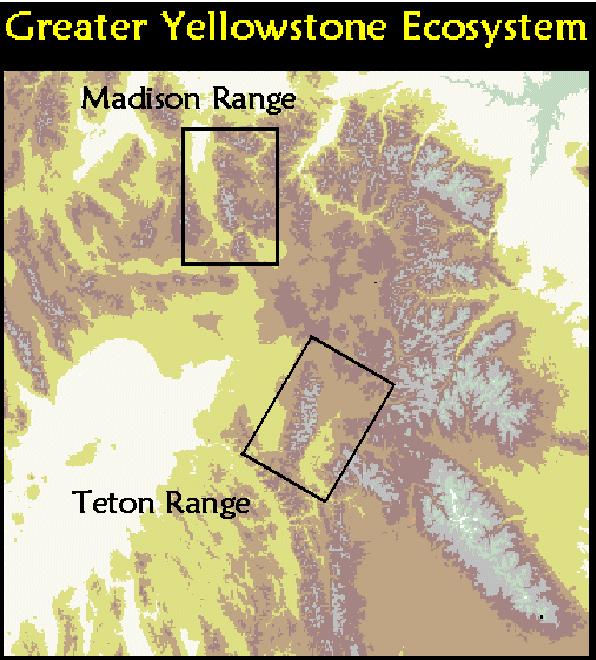 Madison Range The Madison Range Study Area (MRSA) covers approximately 1,800 square miles (4,662 km²), and contains a mosaic of ownership and land use designations. The majority of the MRSA is U.S. Forest Service (USFS) land that is managed by two National Forests, the Beaverhead and the Gallatin National Forests.