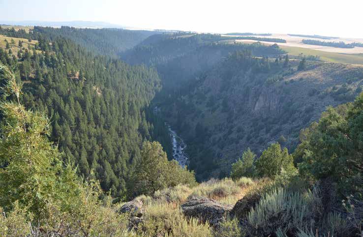 Location: Bitch Creek Canyon Ranch is located in Fremont County, Idaho, a 20 minute drive from the ski destination of Driggs and an hour from Jackson Hole, Wyoming.