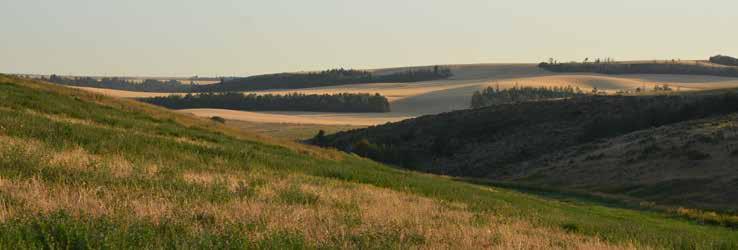 Conservation Easement Potential: Due to its size and ecological importance, including critical winter range for mule deer and elk, this ranch is considered a sensitive property and may provide