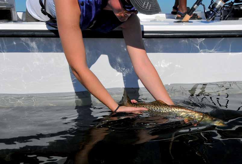 Salt water regs Spotted Seatrout Lookout fishermen! Florida s favorite speckled fish is about to be on the recreational fishing radar year-round.